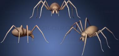 3D model House Spider (STL)